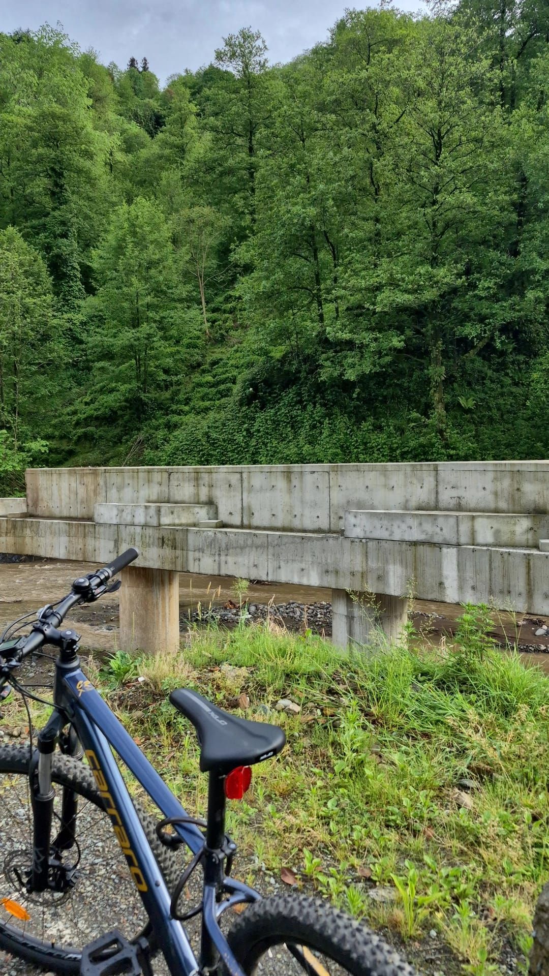 A dark blue bicycle parked beside a river, with a low concrete wall crossing over it and a dense forest in the background